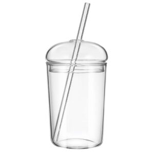 glass tumbler with straw and lid 15oz glass cups glass water bottle smoothie cups juice drinking cup clear coffee cup large water mug for home outdoor travel