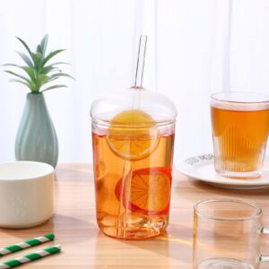 Glass Tumbler with Straw and Lid 15oz Glass Cups Glass Water Bottle Smoothie Cups Juice Drinking Cup Clear Coffee Cup Large Water Mug for Home Outdoor Travel
