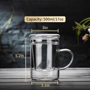 Unbreakable Glass Tea Cup with Infuser and Lid 500ml/17oz Glass Tea Infuser Mug Heat Resistant Silicate Glass Teacup with Strainer for Loose Leaf Blooming Tea Bag Gas Stovetop Safe