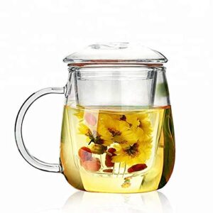 glass tea mug cup kits with tea infuser heat resistant 500 ml great gift idea