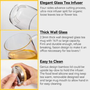 Dorsaer Glass Tea Mugs - 16.9oz Glass Tea Cup with Infuser and Lid for Tea Steeping at Home and Office. Larger Glass Tea Cups, Clear Glass Tea mugs with infuser and lid