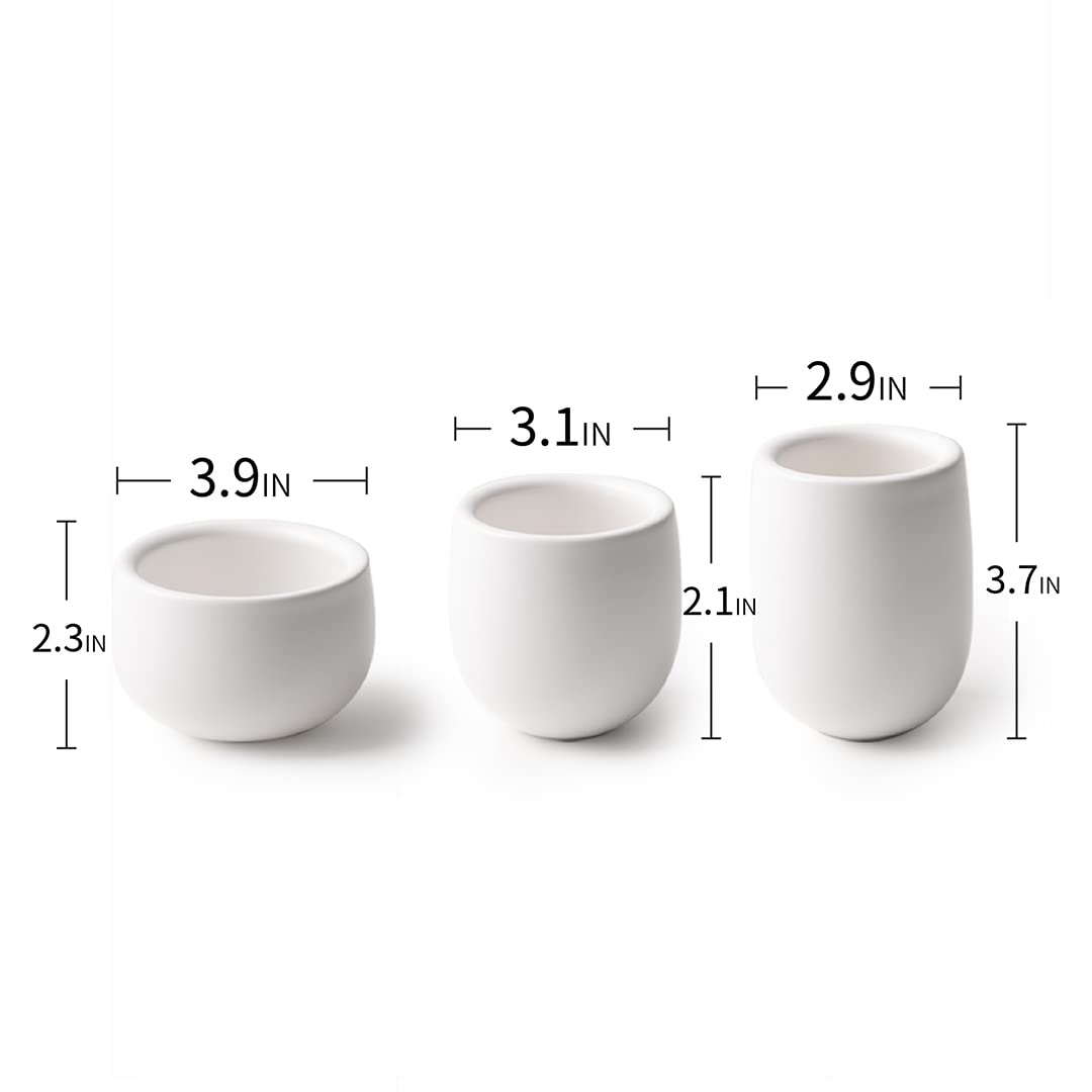 MU MO 7 Ounce Eggshell Porcelain Tea Cup Cappuccino Cups for Coffee Drinks, Latte, Cafe Mocha and Tea, White Ceramic Cups