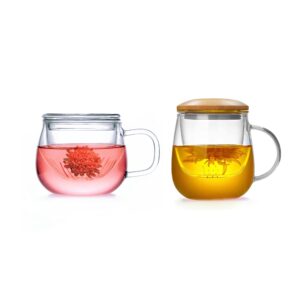 set of 2 glass tea cups tea mug with infuser and lid - heat resistant borosilicate glass, clear teacup with strainer for loose leaf tea, blooming tea, and tea bags - ideal for tea lovers