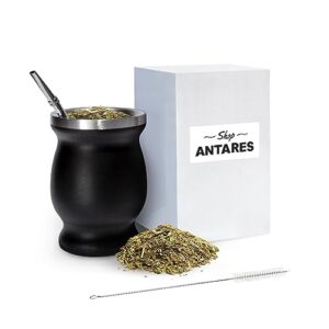 shop antares mate cup and bombilla set - yerba mate set includes one yerba mate cup, one bombilla mate (straw) and brush - stainless steel double-wall | easy to clean (black)