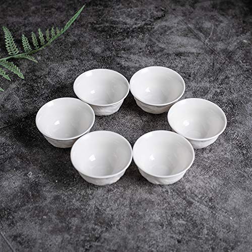 HonHeam Handmake Ceramic Mini Kungfu Tea Cups, Chinese Embossed Dragon Style White Porcelain Tiny Teacups,Tea Bowl Cup set of 6