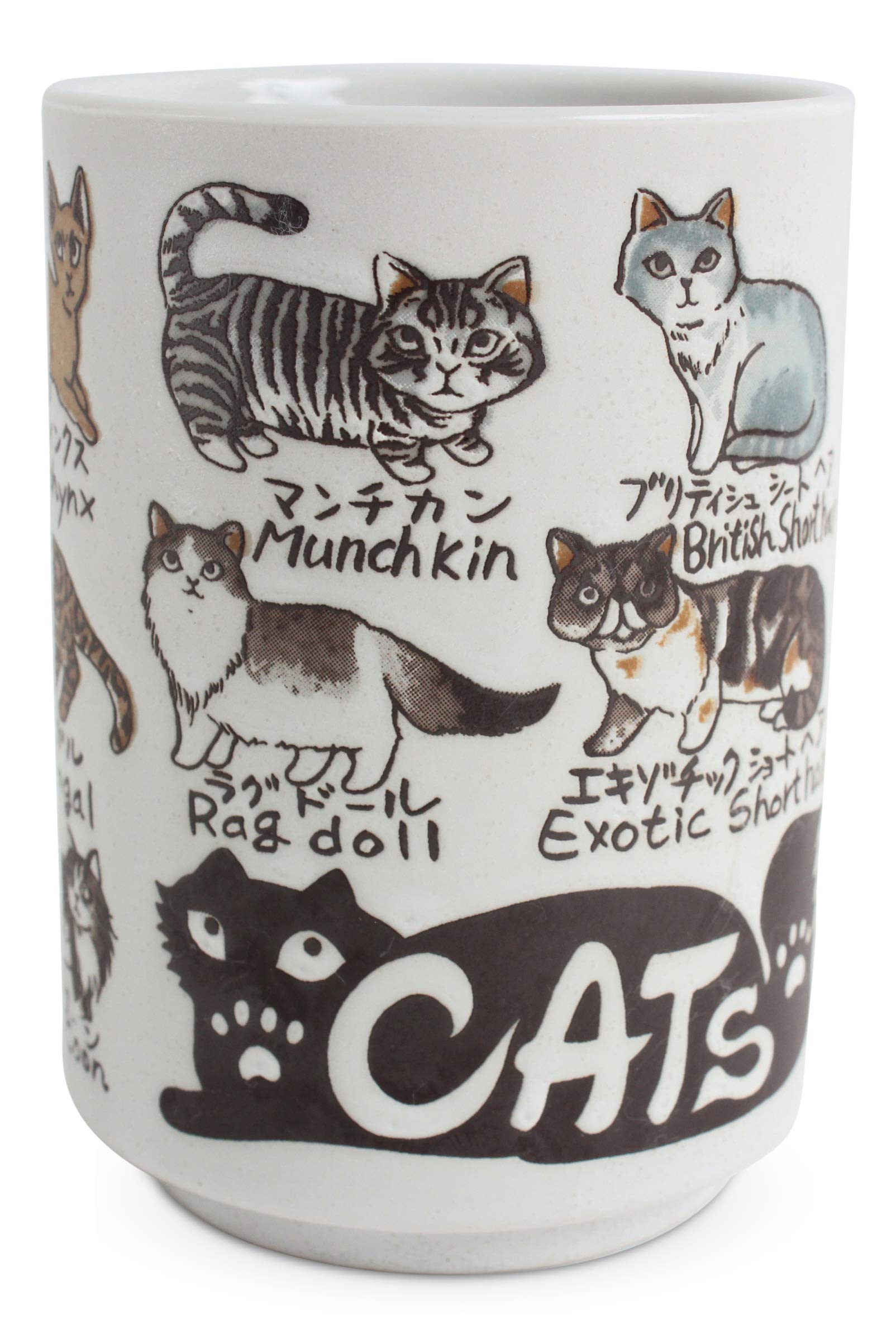 Mino ware Japanese Ceramics Sushi Yunomi Chawan Tea Cup Various Cats made in Japan (Japan Import) YAY050