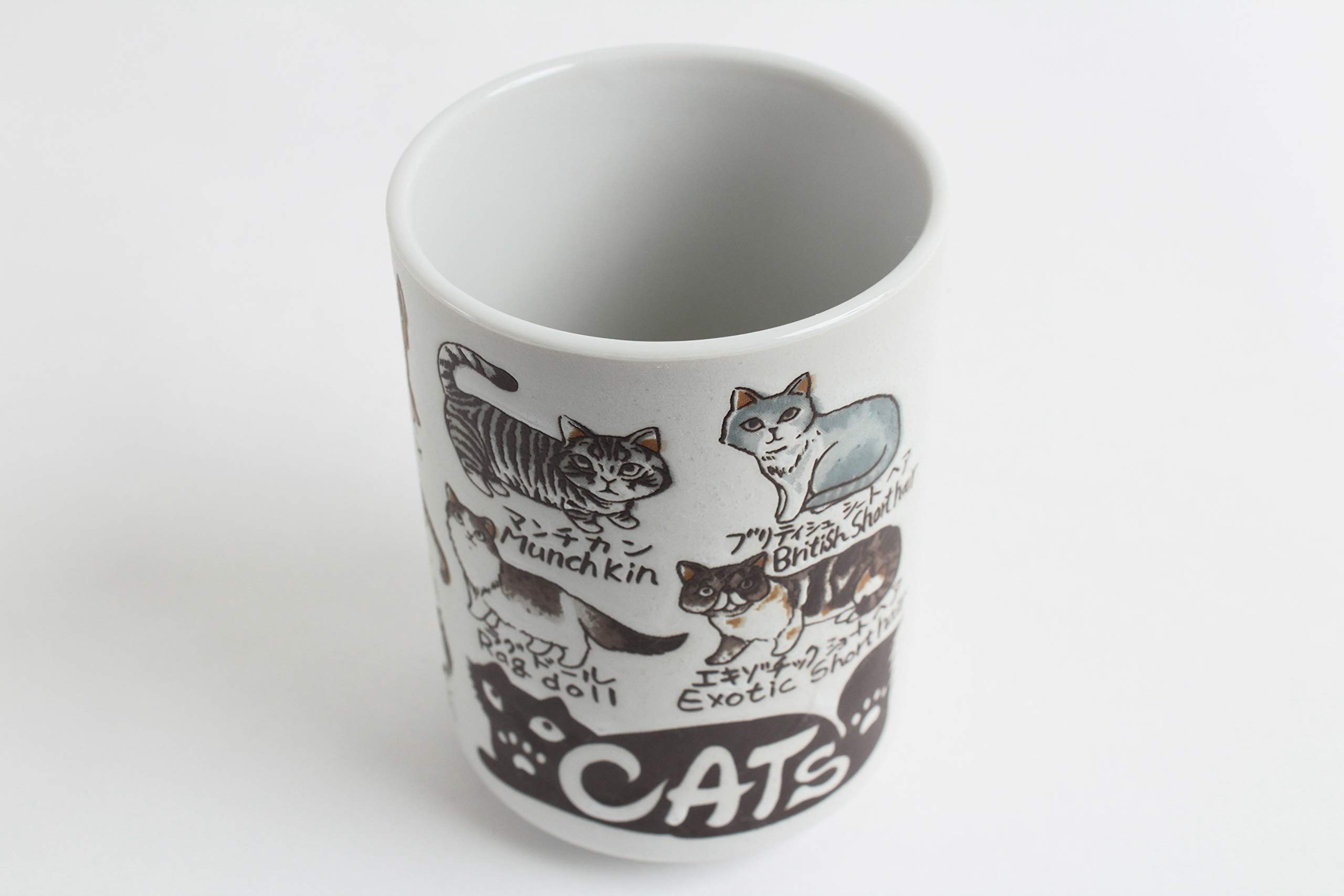 Mino ware Japanese Ceramics Sushi Yunomi Chawan Tea Cup Various Cats made in Japan (Japan Import) YAY050