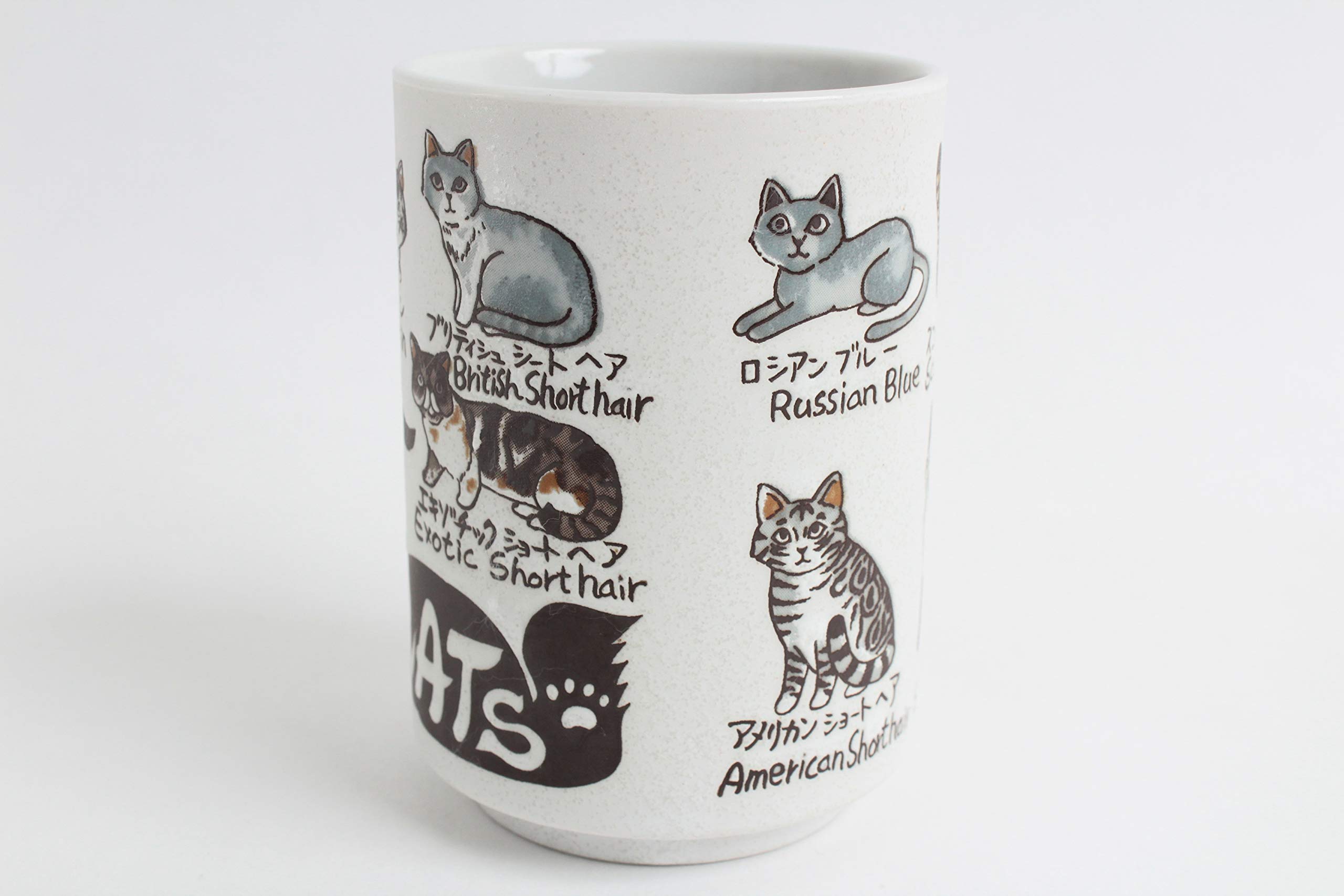 Mino ware Japanese Ceramics Sushi Yunomi Chawan Tea Cup Various Cats made in Japan (Japan Import) YAY050