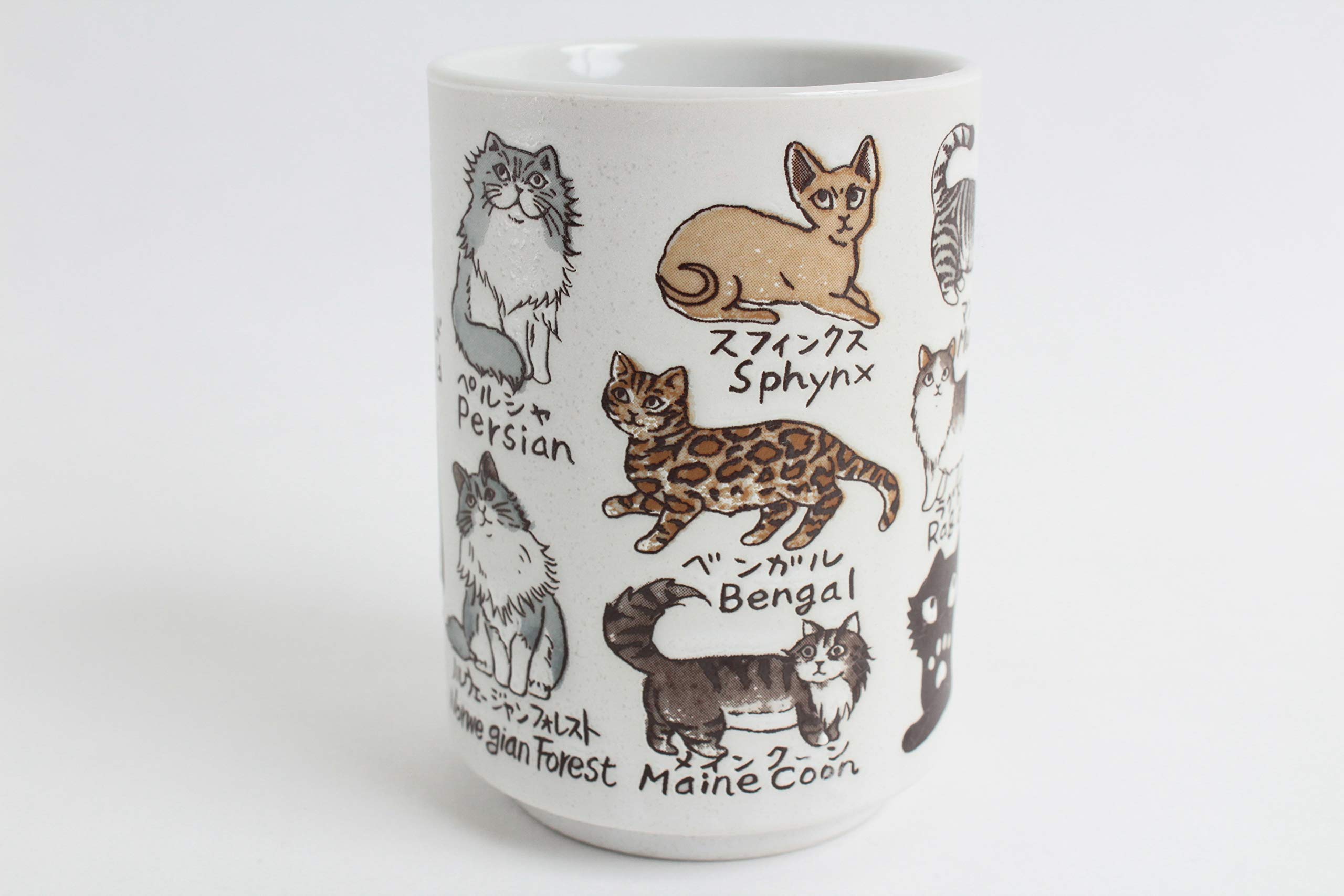 Mino ware Japanese Ceramics Sushi Yunomi Chawan Tea Cup Various Cats made in Japan (Japan Import) YAY050