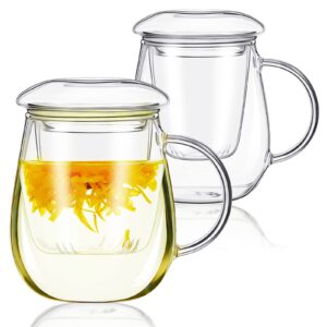 Rtteri Set of 2 Glass Tea Cup with Infuser and Lid 17.6 oz Clear Glass Mugs Thickened Glass Tea Infuser Cup Simple Filtration Teacups for Tea Bag Loose Leaf Tea Blooming Tea