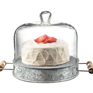 Royalty Art Farmhouse Cake Plate with Glass Dome, Rustic Kitchen and Dining Room Platter with Carry Handles, Galvanized Steel Base, Decorative Home Decor for Cupcakes and Pastries