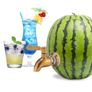 stainless steel watermelon keg tap kit - [leakproof] [no clog] pumpkin fruit keg tapping with coring tool, [adjust shank] watermelon spigot for cocktail party-ice tea drink dispenser spout