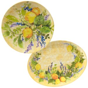 certified international lemon zest 2 pc melamine platter serving set, multicolor, large