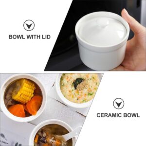 Luxshiny 2pcs Soup Cups with Lids White Ceramic Stew Pot with Lid Steam Soup Bowl Steaming Cup Soup Noodle Bowl Stockpot Cookware for Egg Custard Medicinal and Birds Nest 4 Inches