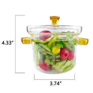 DEESUNG Glass Bowl with Handles and Lid, 15 OZ, With Measurement Marks, Food Grade High Borosilicate Glass, Measure Bowl, Bowl for Cereal, Dessert, Pasta, Salad and Soup