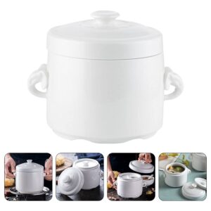 FRCOLOR Small Ceramic Stew Pot with Lid 520ml Steam Soup Bowl Steaming Cup with Handle for Home Kitchen Egg Custard Medicinal Birds Nest Tonic White