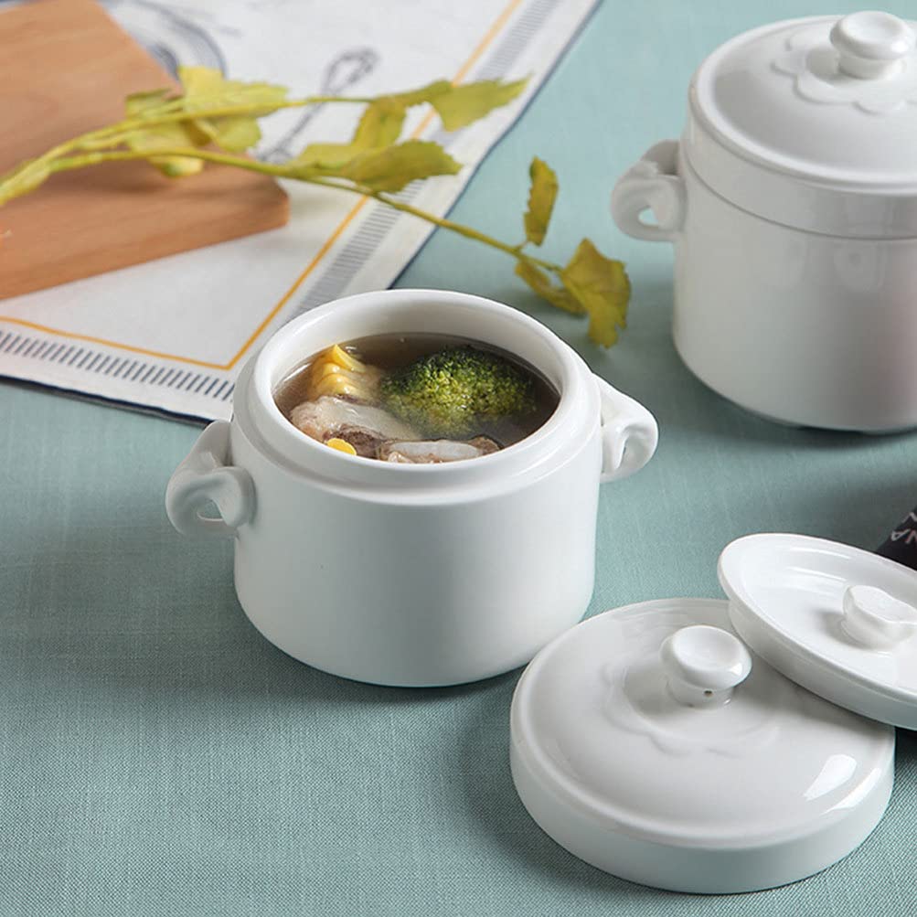 FRCOLOR Small Ceramic Stew Pot with Lid 520ml Steam Soup Bowl Steaming Cup with Handle for Home Kitchen Egg Custard Medicinal Birds Nest Tonic White