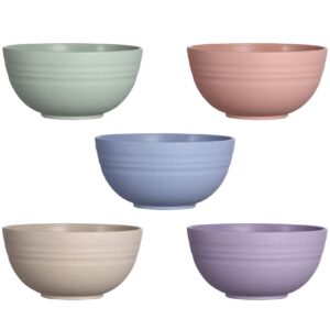 hemoton 5 pack of unbreakable cereal bowls set, 20 oz lightweight wheat straw bowl, mixing bowls, dishwasher& microwave safe, bpa free, eco-friendly bowl for rice, soup, pasta and salad