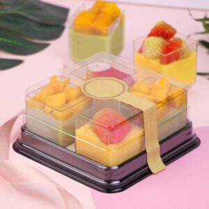 Gadpiparty Mousse Cups 20 Transparent Square with Lids, Plastic Parfait Cups Appetizer Tasting Shooter Cups Reusable Serving Containers for Mousse Ice Cream Fruit and Pudding