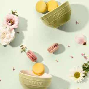 Staub Z1023-687 Ceramic Bowl, Ceramic, 4.7 inches (12 cm), Set of 2, Macaron Green, Ceramic, Small Bowl, Microwave Safe, Ceramic Bowl