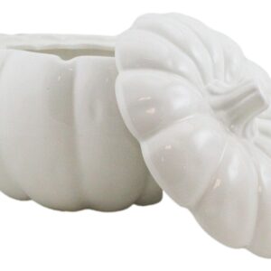 Ebros Gift Ceramic Stoneware White Harvest Pumpkin Bowl With Lid 6" Diameter (1)