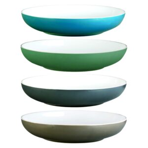 certified international catalina all purpose porcelain bowls, set of 4, multicolor