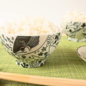 Mino ware Japanese Ceramics Rice Bowl Sea Creatures Matte Finish made in Japan (Japan Import) GBC003