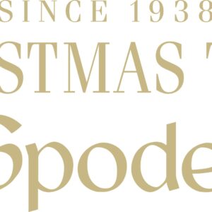 Spode Christmas Tree Collection Pasta Bowl, set of 4, Rimmed Plate for Serving Salad, Spaghetti, and Soup, 10-Inch, Made of Porcelain, Dishwasher, Microwave, and Freezer Safe