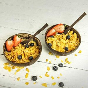 ZYEZI Coconut Bowls Spoons 2 Set, Natural,eco Friendly,Lightweight & Durable for Breakfast Smoothie Cereal Serving Decoration