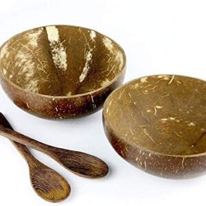 ZYEZI Coconut Bowls Spoons 2 Set, Natural,eco Friendly,Lightweight & Durable for Breakfast Smoothie Cereal Serving Decoration