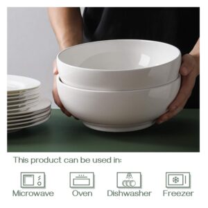 DOWAN Cereal Bowl Serving Bowls