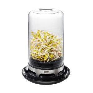 SPROUTING JAR (Black)