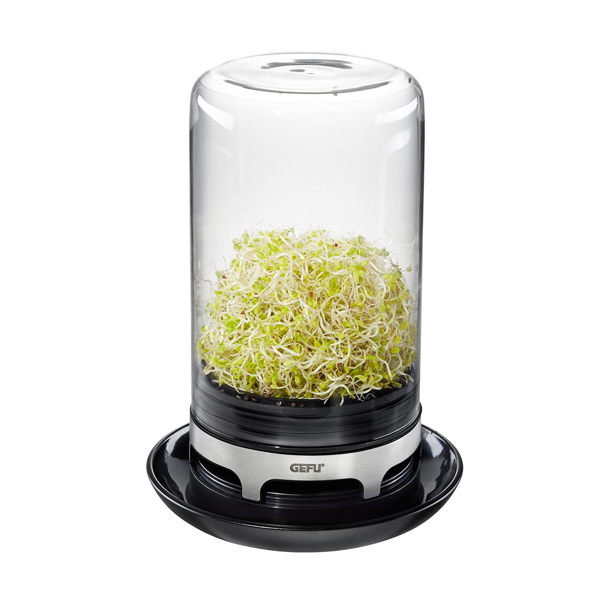 SPROUTING JAR (Black)