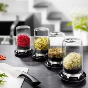 SPROUTING JAR (Black)