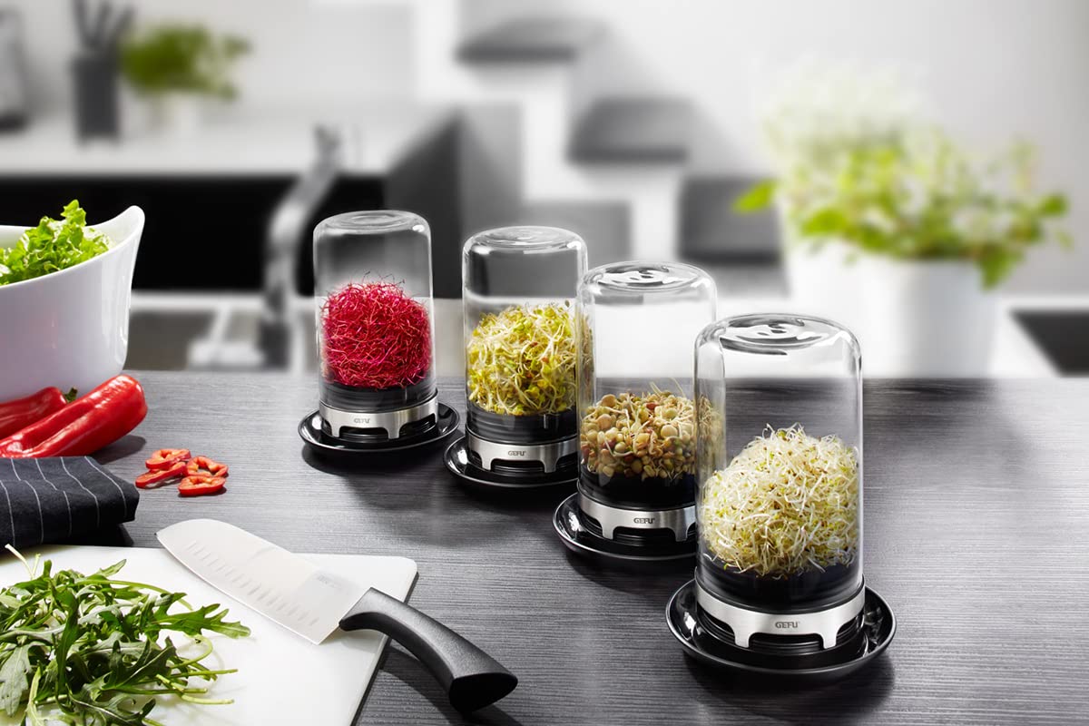 SPROUTING JAR (Black)