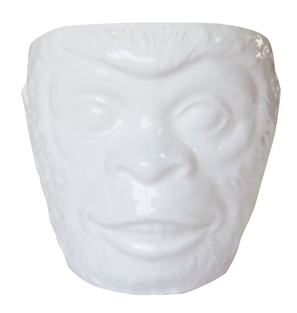 Sunart SAN2498 Funny Tableware, Brain, Monkey Don, 17.6 oz (500 g), White