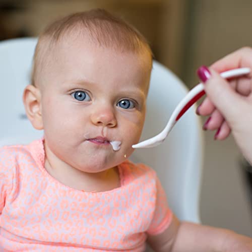 Dr. Brown's Soft-Tip Toddler Spoons with Long Handle for Baby-Led Weaning, BPA Free (Pack of 6)