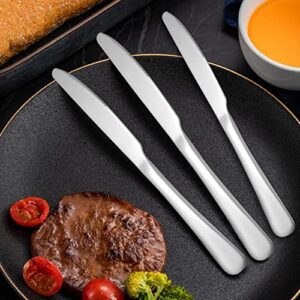 Drun 9-Piece Dinner Knives Set, Stainless Steel Silverware Set, Mirror Polished Kitchen Utensil Use for Home, Kitchen or Restaurant, Flatware Cutlery Dishwasher Safe (Silver 9 Inch)