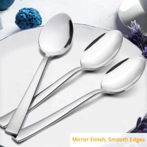 Dinner Spoons Set of 12, E-far 7.9 Inch Stainless Steel Soup Spoons Tablespoons for Home, Kitchen or Restaurant, Non-toxic & Mirror Polished, Squared Edge & Dishwasher Safe