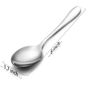 Aebeky 12-Piece Stainless Steel Dinner Spoon,Large Tablespoons,8-Inches (12-Piece)