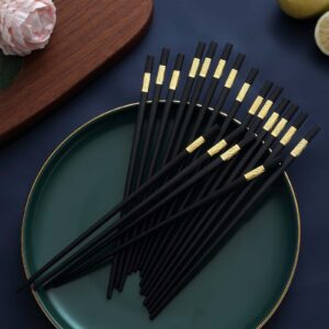 Chopsticks, Bestdin 10 Pairs Fiberglass Chopsticks Reusable, Premium High Temperature Resistant Chop Sticks for Cooking Eating, Square Non-Slip Odorless ChopSticks Reusable, Dishwasher Safe, 9.4 Inch