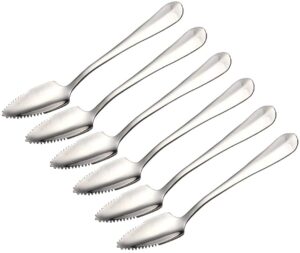 stainless steel grapefruit spoons, jagged grapefruit spoon, suitable for citrus fruits, kiwi, salads and desserts， set of 6…