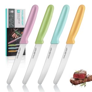 haushof steak knives set of 4, serrated steak knives, premium stainless steel steak knife set with gift box, assorted color