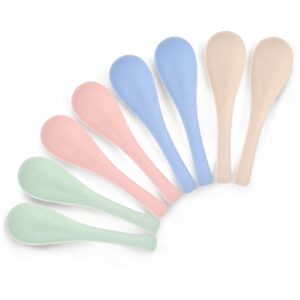 8 Pcs Plastic Spoon Dinner Spoons, Lnrkai Portable Reusable Soup Spoon Reusable Multicolor Lightweight Durable Spoon Dishwasher & Microwave Safe for Gift Set (8PCS)