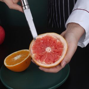 Ayaoch Stainless Steel Grapefruit Knife - Curved Serrated Bread Knife for Kitchen - Fruit Knife - Chef Kitchen Knife Curved Carving Tool