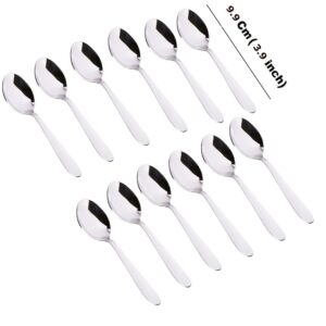 slndoktg stainless steel spice box spoons set of 12 (silver)