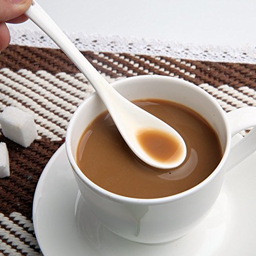 AKOAK 5 Inches White Ceramic Spoon for Coffee,Tea,Yogurt,Ice-cream,Appetizers and Desserts