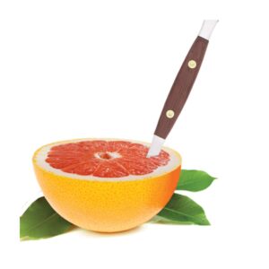 HIC Kitchen Squirtfree Serrated Twin-Blade Grapefruit Sectioning Knife,Silver