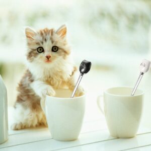 6 Pieces Cat Coffee Spoon Cute Stainless Steel Cat Head Spoon, Lovely Spoon, Ice Cream Dessert Spoon for Stirring Tea Coffee Sugar Dessert (Black, White)