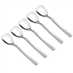 idomy set of 12 stainless steel dessert ice cream spoons, 5.51-inch